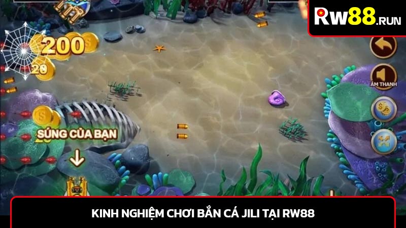 Kinh nghiệm chơi Bắn cá jili tại rw88