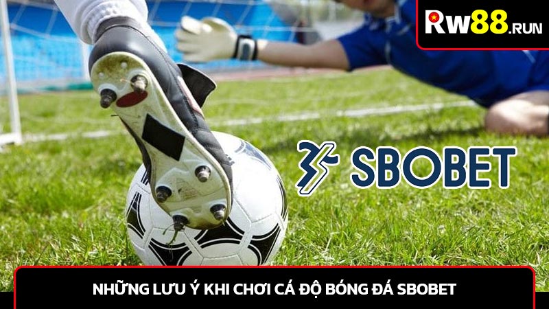 Những lưu ý khi chơi cá độ bóng đá SBObet