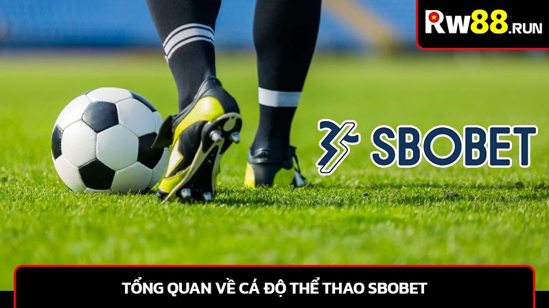 Tổng quan về cá độ thể thao SBObet