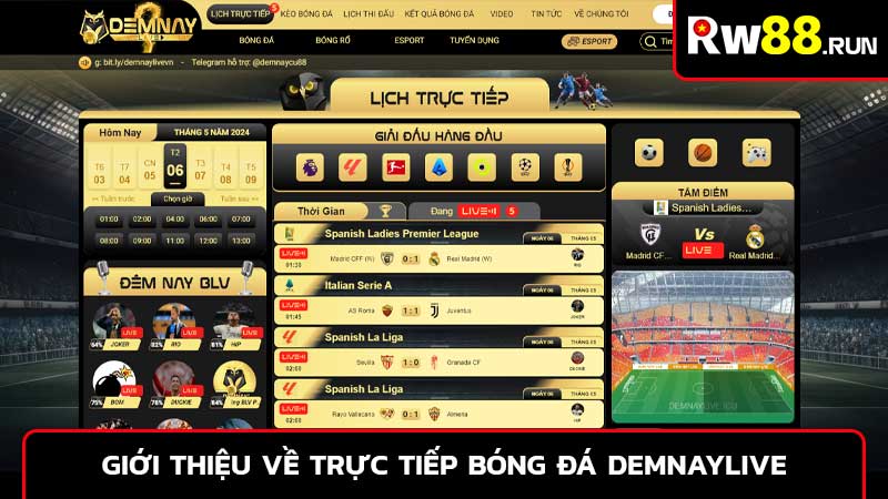 Giới thiệu về trực tiếp bóng đá Demnaylive