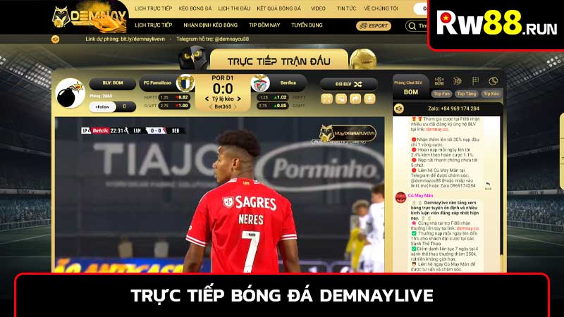 Trực tiếp bóng đá Demnaylive